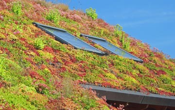 Shedfield living roof systems